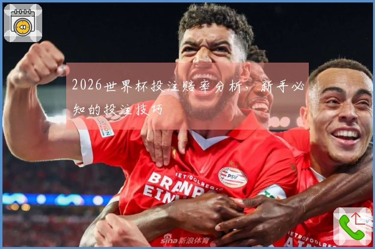 2026世界杯投注赔率分析，新手必知的投注技巧