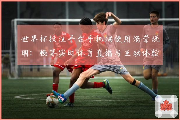 世界杯投注平台手机端使用场景说明：畅享实时体育直播与互动体验
