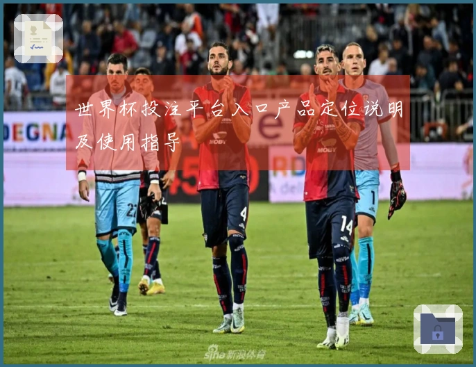 世界杯投注平台入口产品定位说明及使用指导