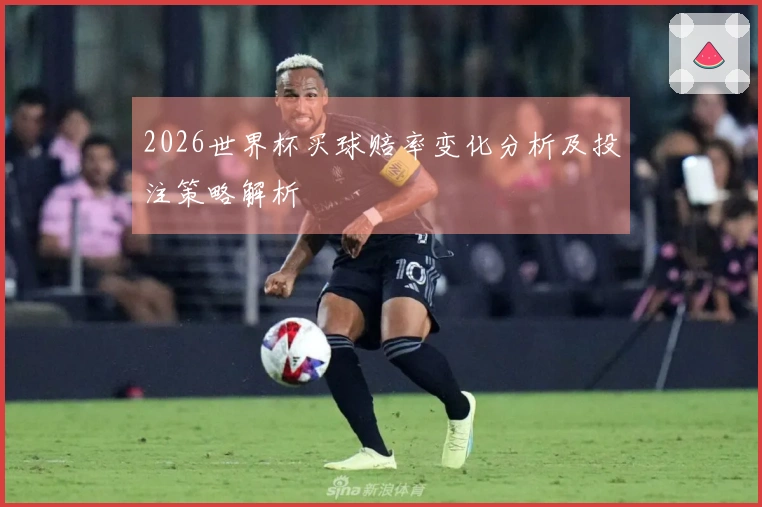 2026世界杯买球赔率变化分析及投注策略解析