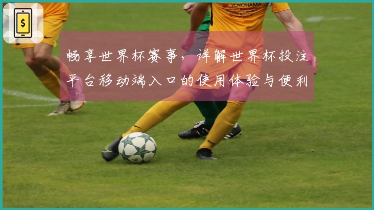 畅享世界杯赛事，详解世界杯投注平台移动端入口的使用体验与便利功能