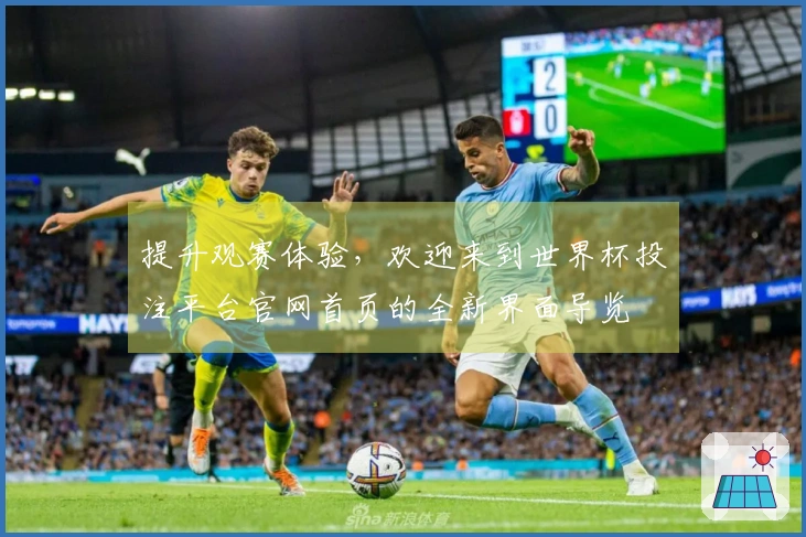 提升观赛体验，欢迎来到世界杯投注平台官网首页的全新界面导览