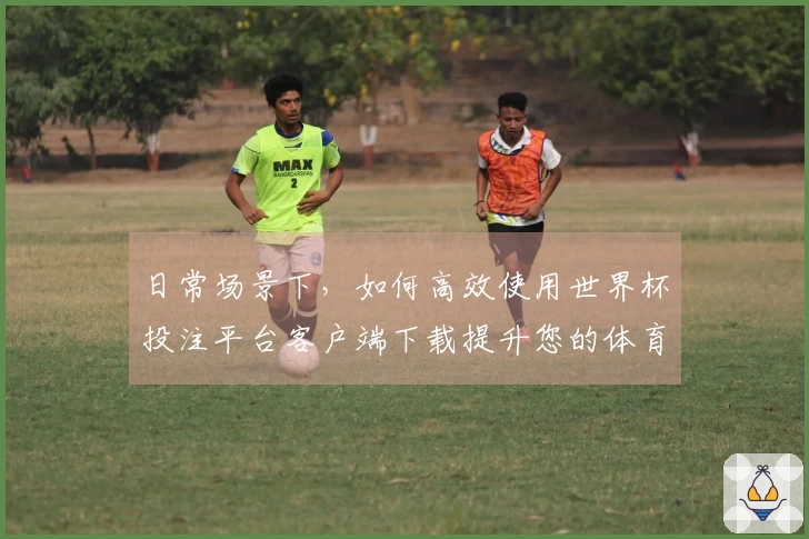 日常场景下，如何高效使用世界杯投注平台客户端下载提升您的体育直播体验