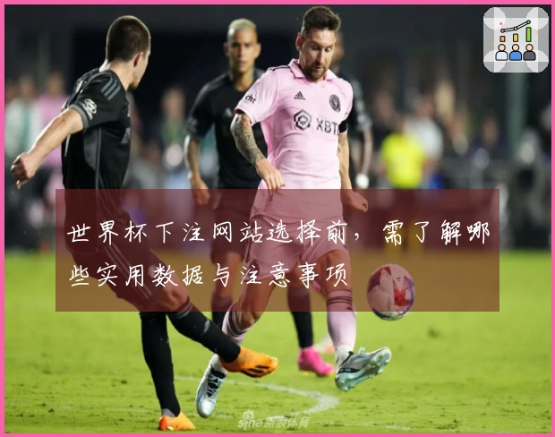 世界杯下注网站选择前，需了解哪些实用数据与注意事项