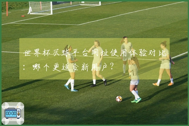 世界杯买球平台网址使用体验对比：哪个更适合新用户？