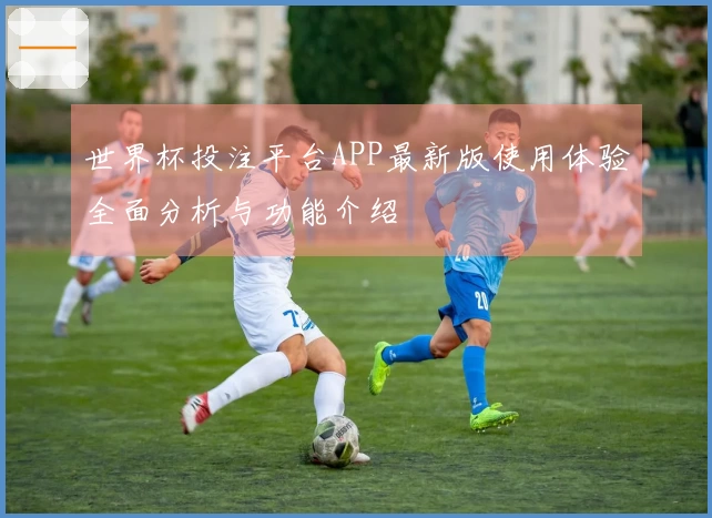 世界杯投注平台APP最新版使用体验全面分析与功能介绍