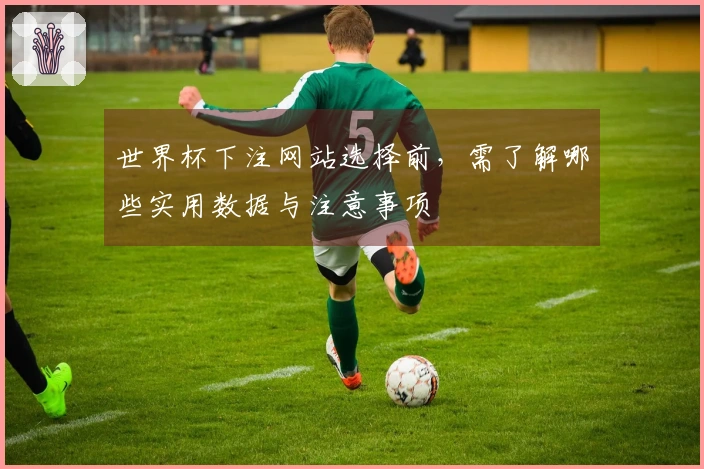 世界杯下注网站选择前，需了解哪些实用数据与注意事项