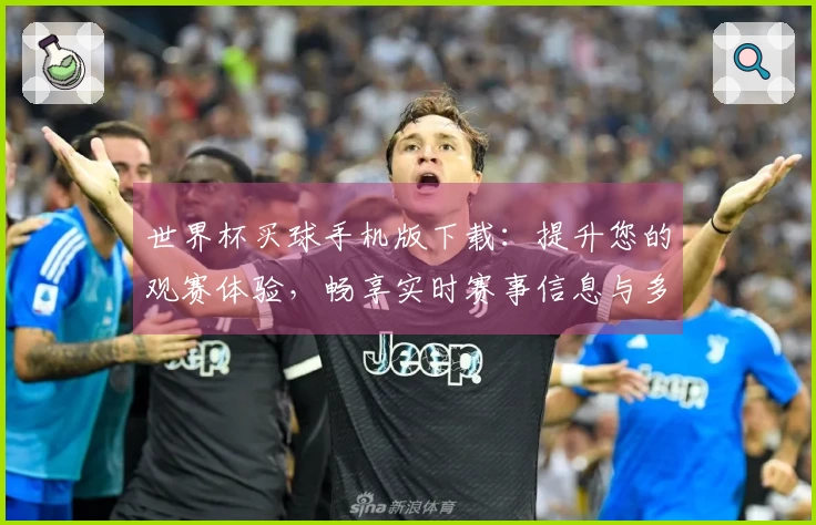世界杯买球手机版下载：提升您的观赛体验，畅享实时赛事信息与多元功能