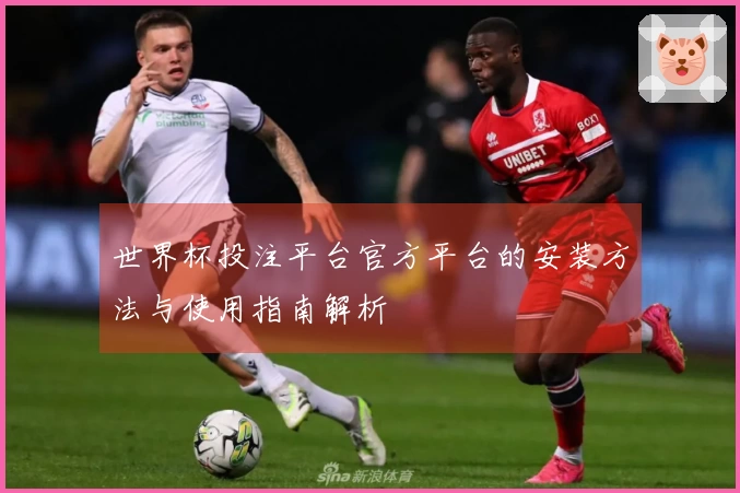 世界杯投注平台官方平台的安装方法与使用指南解析