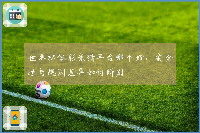 世界杯体彩竞猜平台哪个好，安全性与规则差异如何辨别