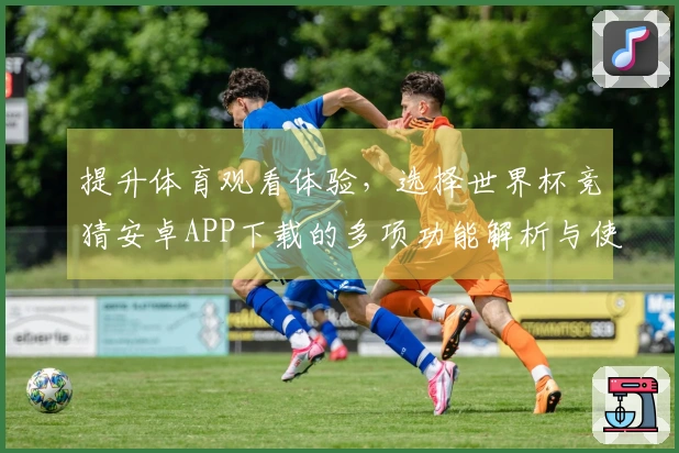 提升体育观看体验，选择世界杯竞猜安卓APP下载的多项功能解析与使用评测